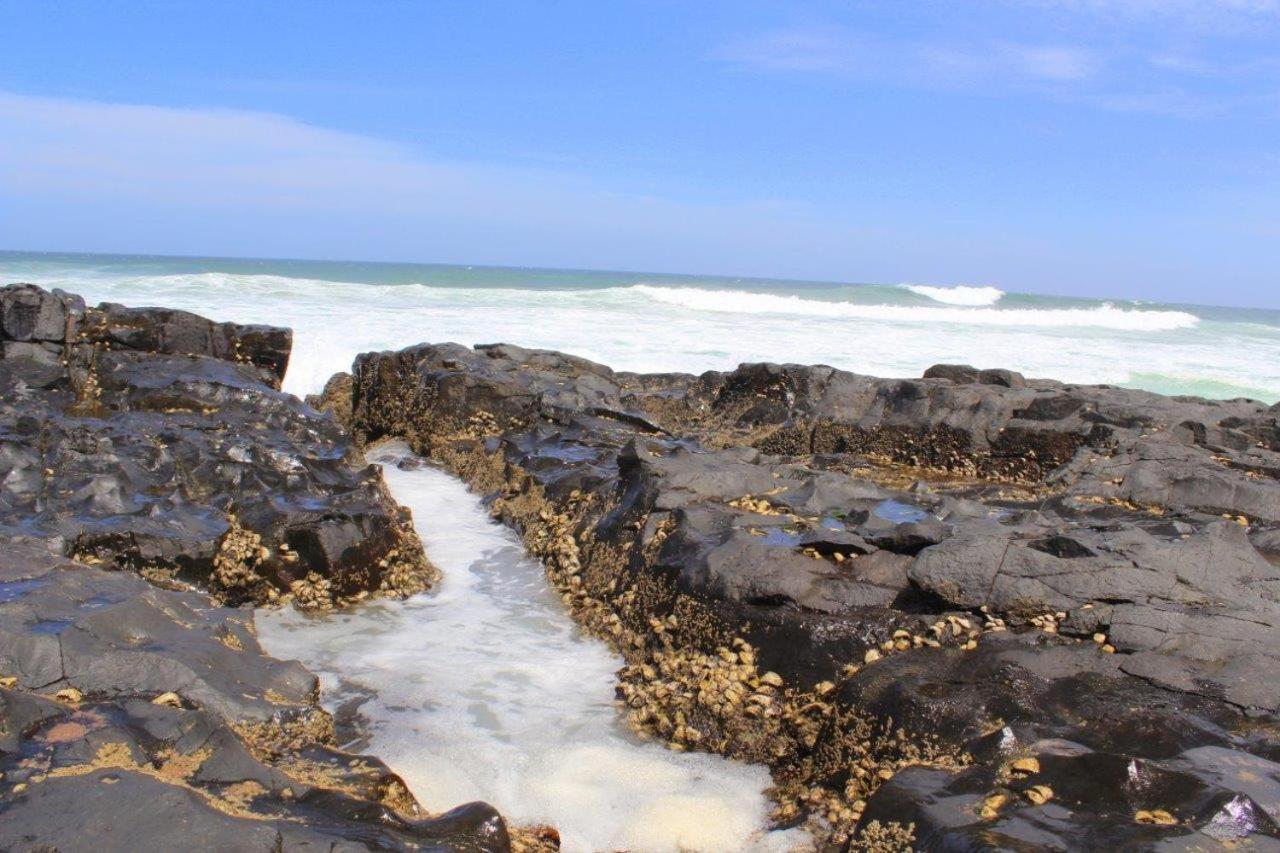 Appartamento Silver Dolphin Holidays Amanzimtoti Esterno foto
